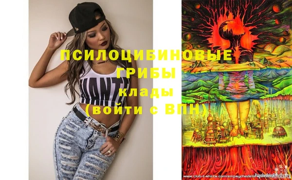 ешки Абаза