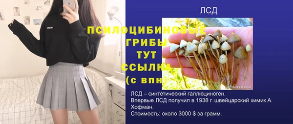PSILOCYBIN Абинск