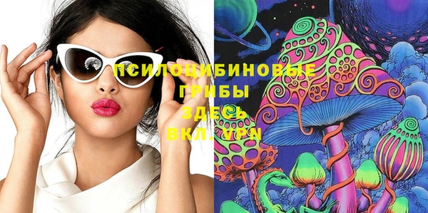 индика Абдулино